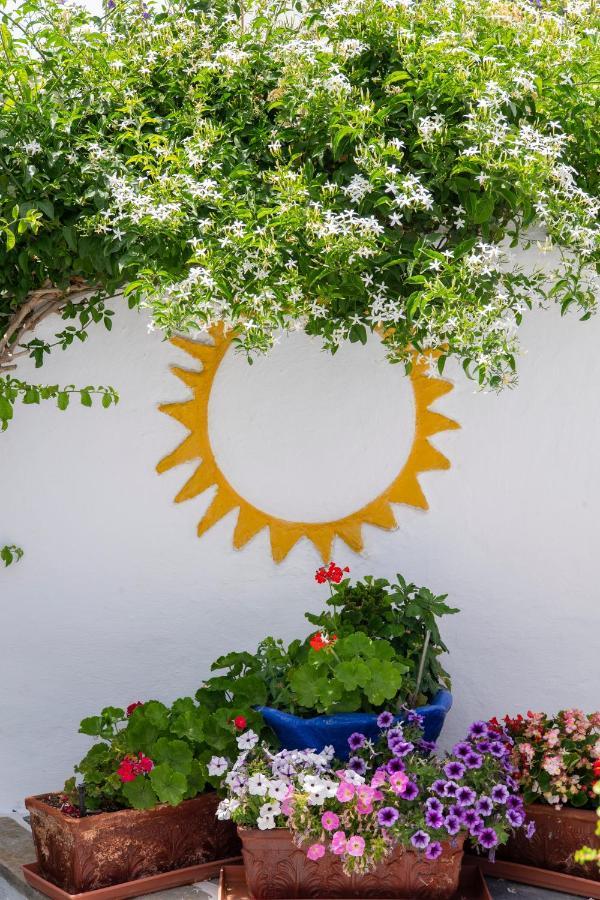 Ricos Two Bedroom House - Naoussa Paros エクステリア 写真